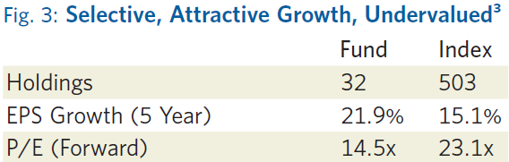 Chart compares the holdings, EPS growth and forward P/E for the fund against the index.